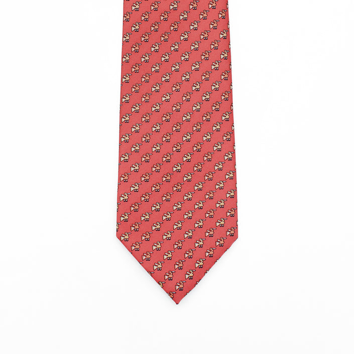 CORBATA PELICANO CHAN CHAN CORAL